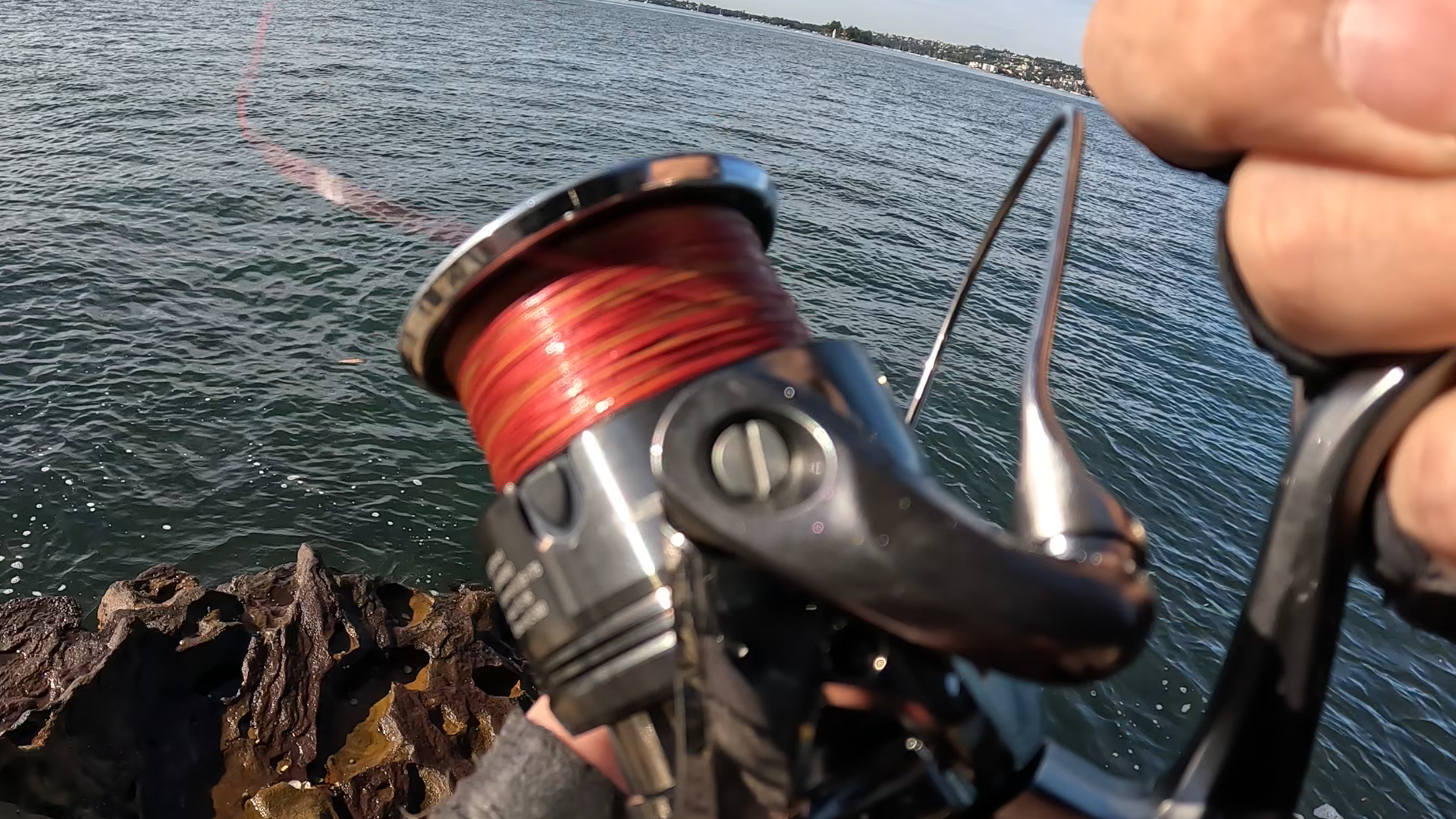 SHIMANO シマノ 24ツインパワー C5000XG スピニングリール 本体